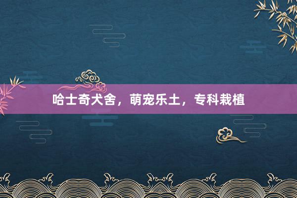 哈士奇犬舍,萌宠乐土,专科栽植